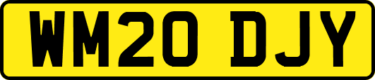 WM20DJY
