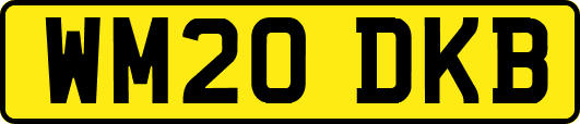 WM20DKB