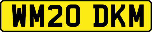 WM20DKM