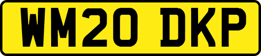 WM20DKP