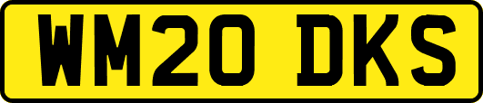 WM20DKS