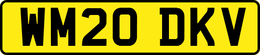WM20DKV