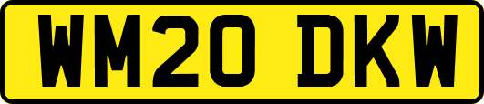 WM20DKW