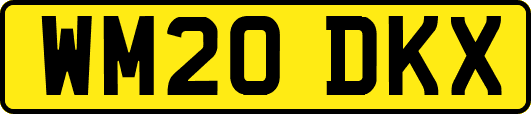 WM20DKX