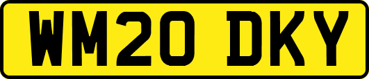 WM20DKY