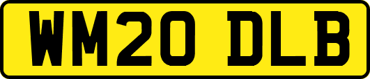 WM20DLB