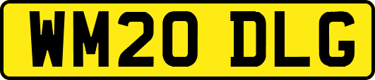 WM20DLG