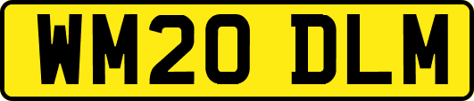 WM20DLM