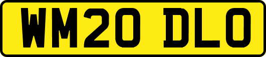 WM20DLO