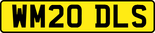 WM20DLS