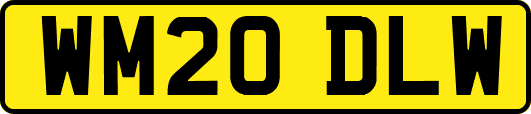 WM20DLW
