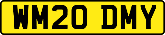 WM20DMY