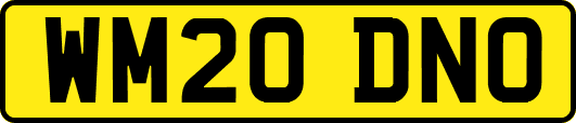 WM20DNO