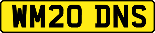 WM20DNS