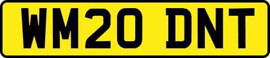 WM20DNT