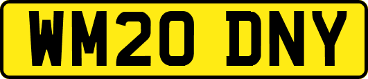 WM20DNY