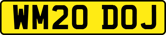 WM20DOJ
