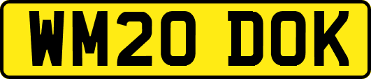 WM20DOK