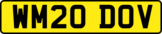 WM20DOV