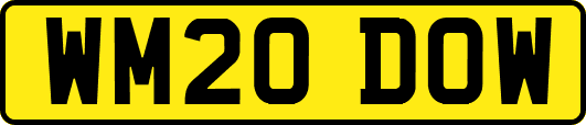 WM20DOW