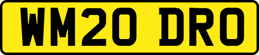 WM20DRO