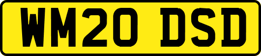 WM20DSD