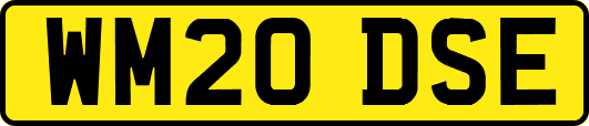 WM20DSE