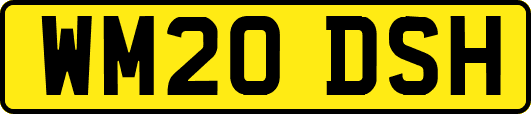 WM20DSH