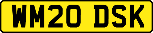 WM20DSK