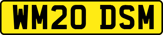 WM20DSM