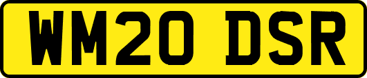 WM20DSR