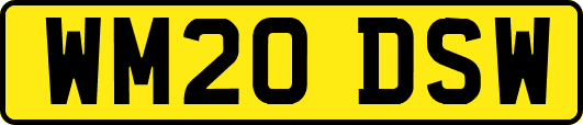 WM20DSW