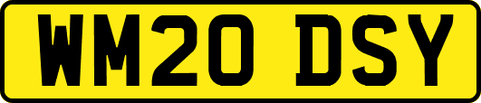 WM20DSY