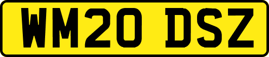 WM20DSZ