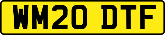WM20DTF