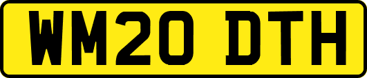 WM20DTH