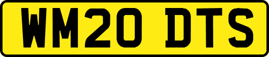 WM20DTS