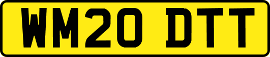 WM20DTT