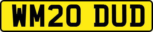 WM20DUD