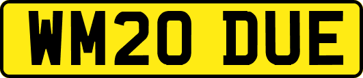 WM20DUE