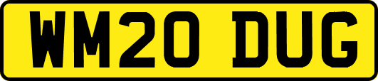 WM20DUG