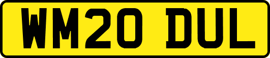 WM20DUL