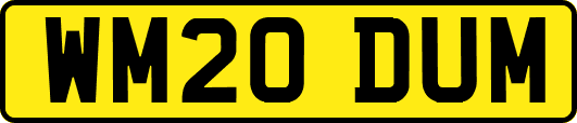 WM20DUM