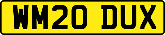 WM20DUX