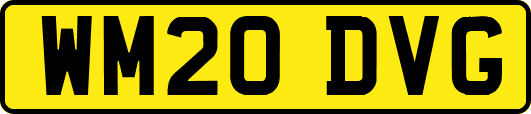WM20DVG