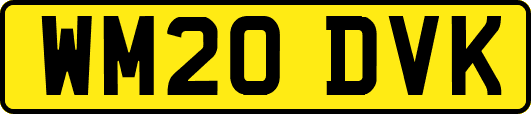WM20DVK