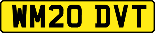 WM20DVT