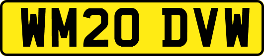 WM20DVW