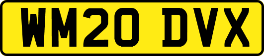 WM20DVX