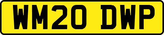 WM20DWP